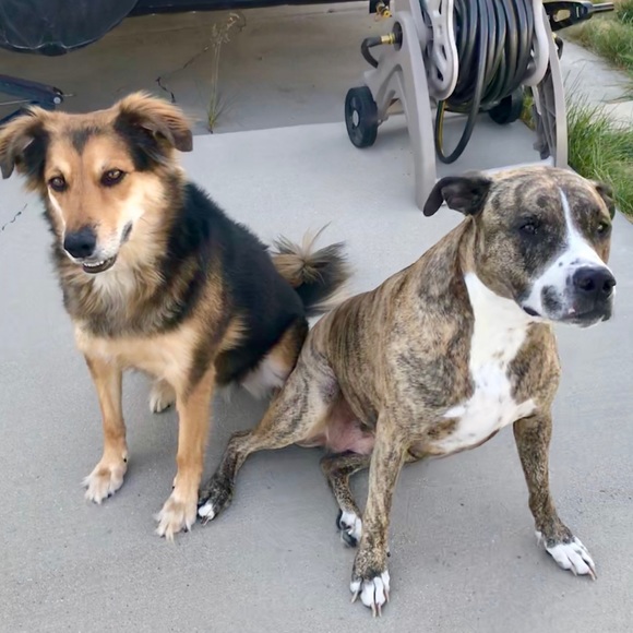 Meet your Posher, JuneyJo75 - Picture 6 of 7